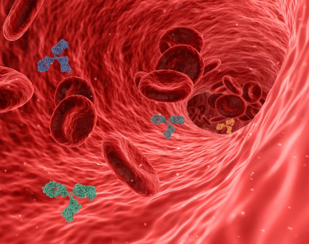Image d'une circulation sanguine imagée avec bactéries et globules rouges